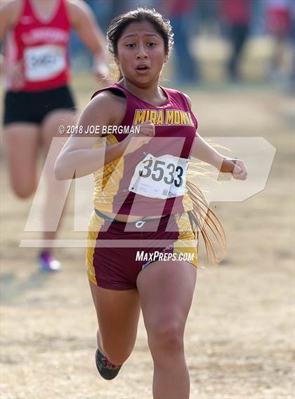 Thumbnail 1 in CIF Central Section Cross Country Championships (Girls D4 Race) photogallery.
