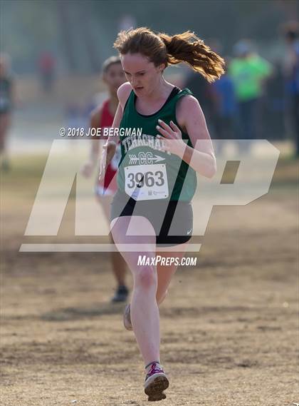 Thumbnail 1 in CIF Central Section Cross Country Championships (Girls D4 Race) photogallery.