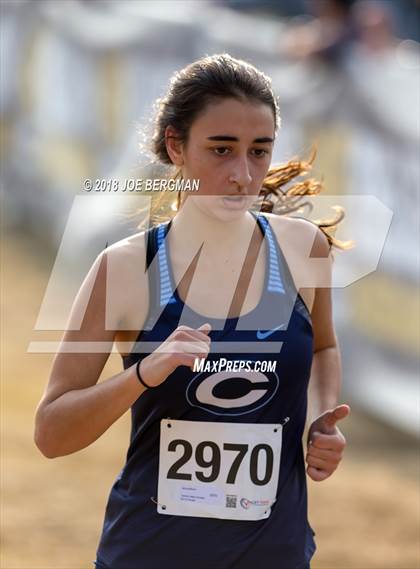 Thumbnail 2 in CIF Central Section Cross Country Championships (Girls D4 Race) photogallery.