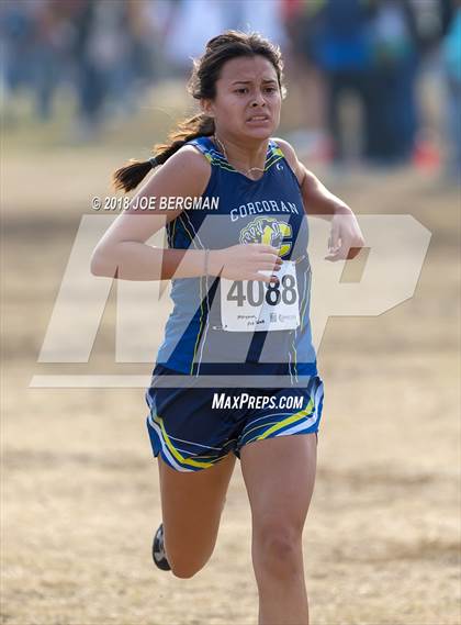 Thumbnail 2 in CIF Central Section Cross Country Championships (Girls D4 Race) photogallery.