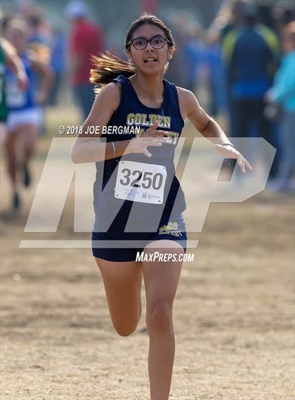 Thumbnail 3 in CIF Central Section Cross Country Championships (Girls D4 Race) photogallery.