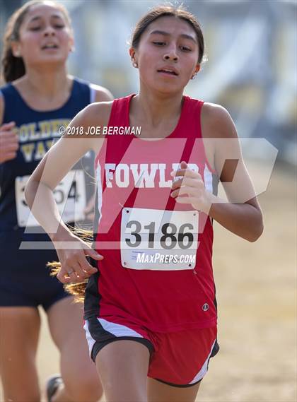 Thumbnail 1 in CIF Central Section Cross Country Championships (Girls D4 Race) photogallery.
