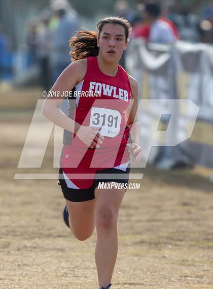 Thumbnail 2 in CIF Central Section Cross Country Championships (Girls D4 Race) photogallery.