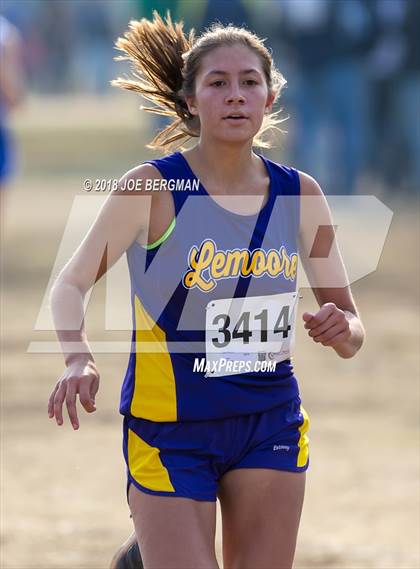 Thumbnail 2 in CIF Central Section Cross Country Championships (Girls D4 Race) photogallery.