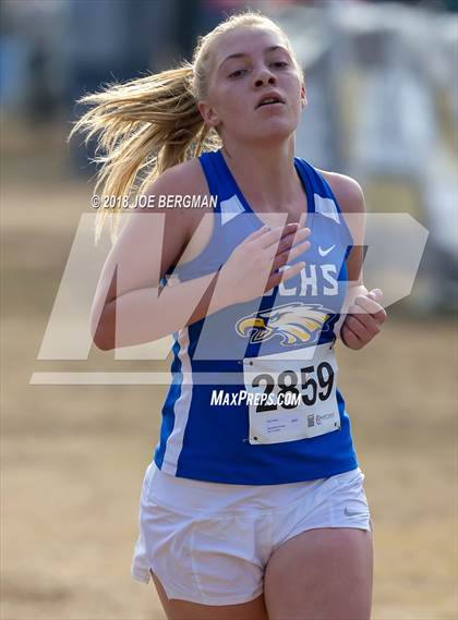 Thumbnail 1 in CIF Central Section Cross Country Championships (Girls D4 Race) photogallery.