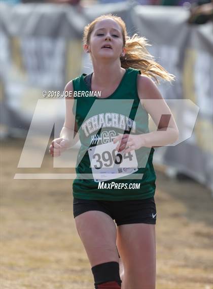 Thumbnail 1 in CIF Central Section Cross Country Championships (Girls D4 Race) photogallery.