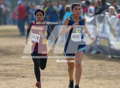 Thumbnail 3 in CIF Central Section Cross Country Championships (Girls D4 Race) photogallery.