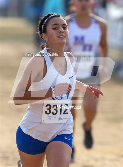 Thumbnail 1 in CIF Central Section Cross Country Championships (Girls D4 Race) photogallery.