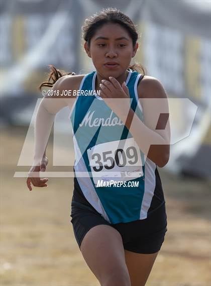 Thumbnail 1 in CIF Central Section Cross Country Championships (Girls D4 Race) photogallery.