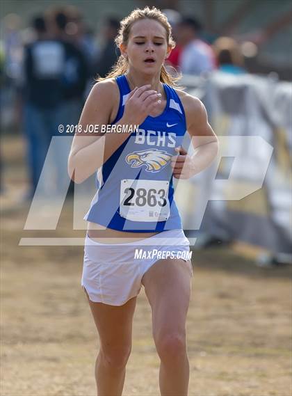 Thumbnail 1 in CIF Central Section Cross Country Championships (Girls D4 Race) photogallery.