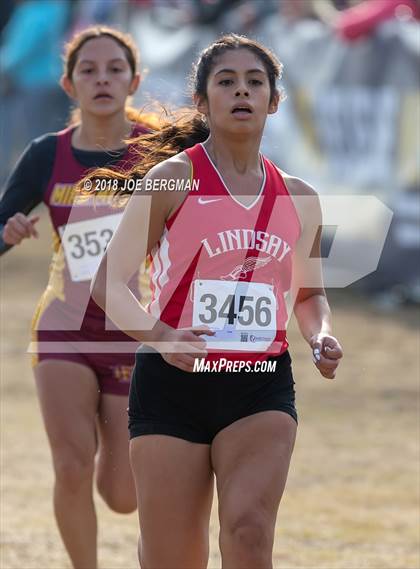 Thumbnail 2 in CIF Central Section Cross Country Championships (Girls D4 Race) photogallery.