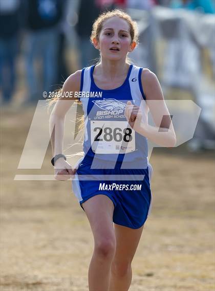 Thumbnail 3 in CIF Central Section Cross Country Championships (Girls D4 Race) photogallery.