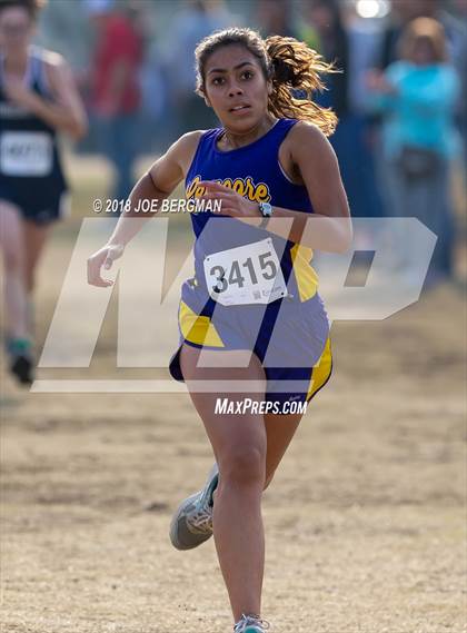 Thumbnail 3 in CIF Central Section Cross Country Championships (Girls D4 Race) photogallery.
