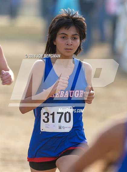 Thumbnail 1 in CIF Central Section Cross Country Championships (Girls D4 Race) photogallery.