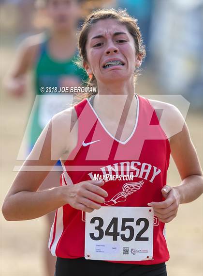 Thumbnail 1 in CIF Central Section Cross Country Championships (Girls D4 Race) photogallery.