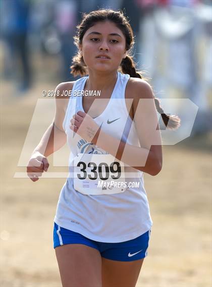 Thumbnail 1 in CIF Central Section Cross Country Championships (Girls D4 Race) photogallery.