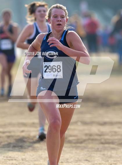 Thumbnail 2 in CIF Central Section Cross Country Championships (Girls D4 Race) photogallery.