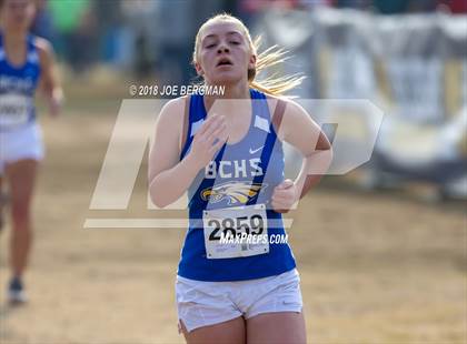 Thumbnail 2 in CIF Central Section Cross Country Championships (Girls D4 Race) photogallery.