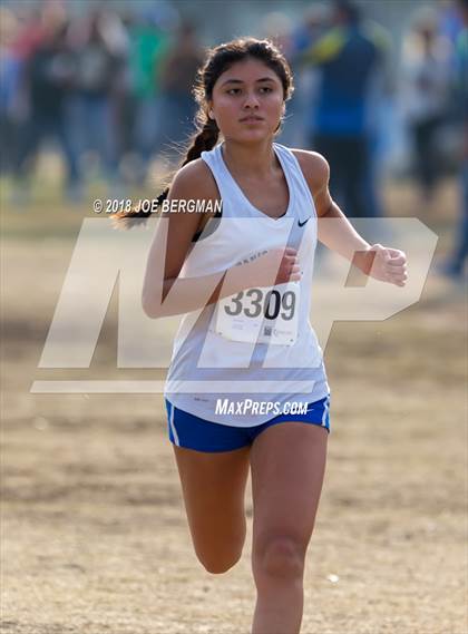 Thumbnail 3 in CIF Central Section Cross Country Championships (Girls D4 Race) photogallery.