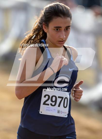 Thumbnail 3 in CIF Central Section Cross Country Championships (Girls D4 Race) photogallery.
