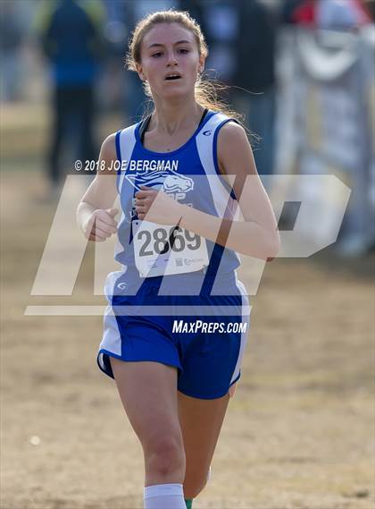 Thumbnail 3 in CIF Central Section Cross Country Championships (Girls D4 Race) photogallery.