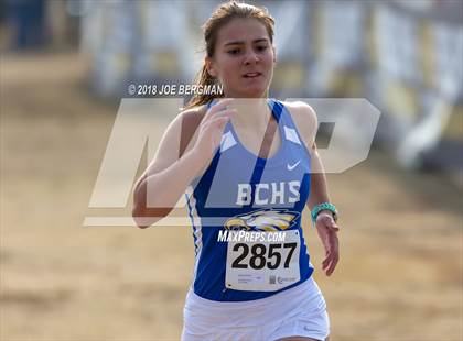 Thumbnail 1 in CIF Central Section Cross Country Championships (Girls D4 Race) photogallery.