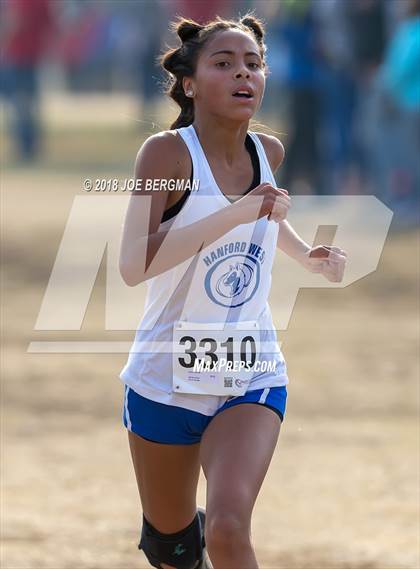 Thumbnail 1 in CIF Central Section Cross Country Championships (Girls D4 Race) photogallery.