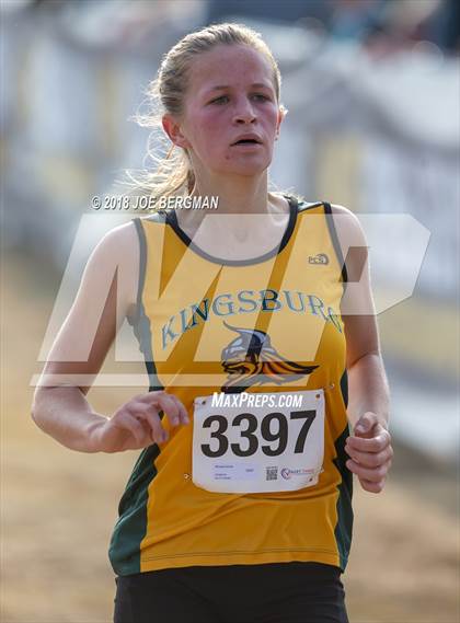 Thumbnail 3 in CIF Central Section Cross Country Championships (Girls D4 Race) photogallery.