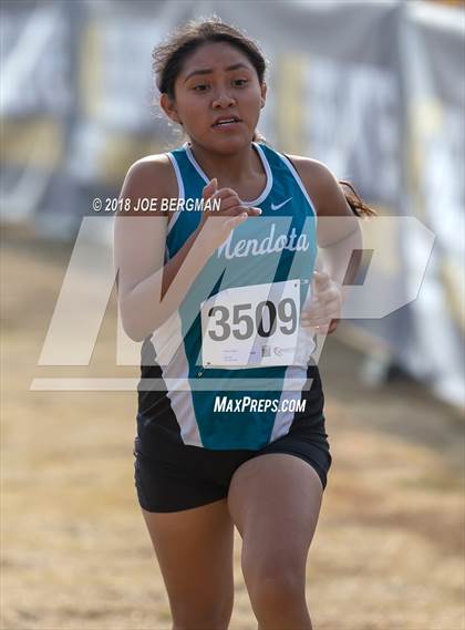 Thumbnail 1 in CIF Central Section Cross Country Championships (Girls D4 Race) photogallery.