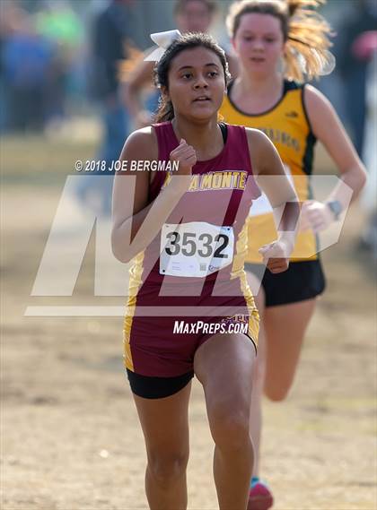 Thumbnail 3 in CIF Central Section Cross Country Championships (Girls D4 Race) photogallery.