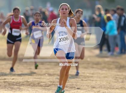 Thumbnail 1 in CIF Central Section Cross Country Championships (Girls D4 Race) photogallery.