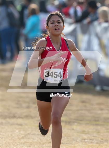 Thumbnail 1 in CIF Central Section Cross Country Championships (Girls D4 Race) photogallery.
