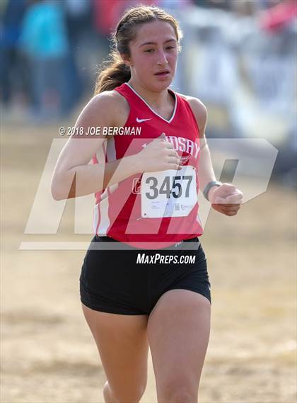 Thumbnail 2 in CIF Central Section Cross Country Championships (Girls D4 Race) photogallery.