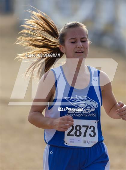 Thumbnail 2 in CIF Central Section Cross Country Championships (Girls D4 Race) photogallery.