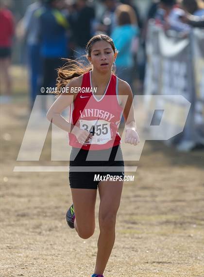 Thumbnail 2 in CIF Central Section Cross Country Championships (Girls D4 Race) photogallery.