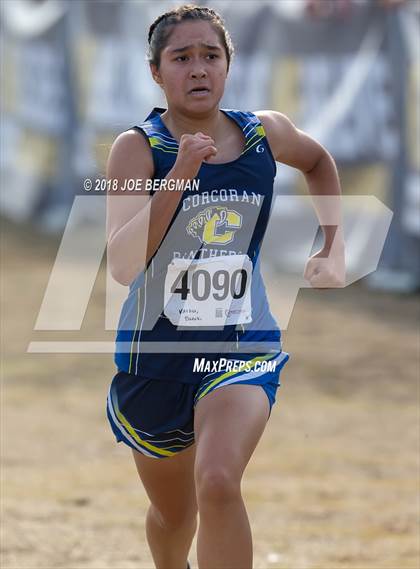 Thumbnail 2 in CIF Central Section Cross Country Championships (Girls D4 Race) photogallery.