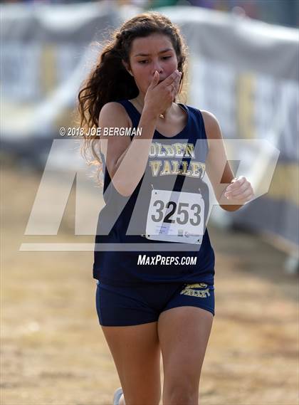 Thumbnail 1 in CIF Central Section Cross Country Championships (Girls D4 Race) photogallery.