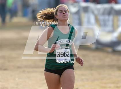 Thumbnail 1 in CIF Central Section Cross Country Championships (Girls D4 Race) photogallery.