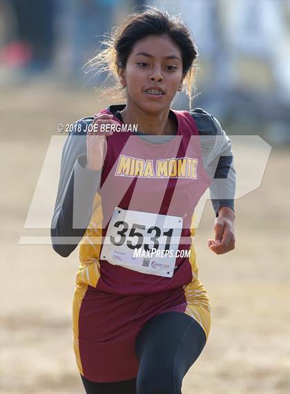Thumbnail 3 in CIF Central Section Cross Country Championships (Girls D4 Race) photogallery.