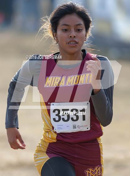Thumbnail 2 in CIF Central Section Cross Country Championships (Girls D4 Race) photogallery.
