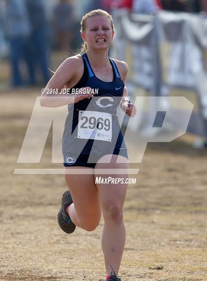 Thumbnail 1 in CIF Central Section Cross Country Championships (Girls D4 Race) photogallery.