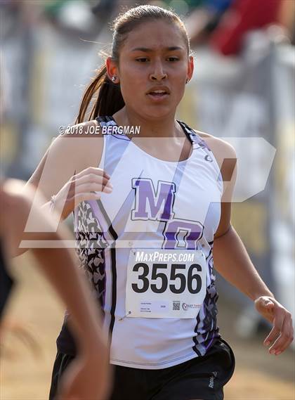 Thumbnail 3 in CIF Central Section Cross Country Championships (Girls D4 Race) photogallery.