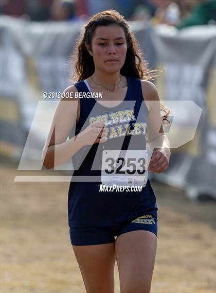Thumbnail 2 in CIF Central Section Cross Country Championships (Girls D4 Race) photogallery.