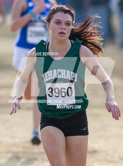 Thumbnail 3 in CIF Central Section Cross Country Championships (Girls D4 Race) photogallery.
