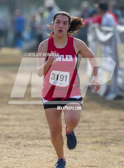 Thumbnail 3 in CIF Central Section Cross Country Championships (Girls D4 Race) photogallery.
