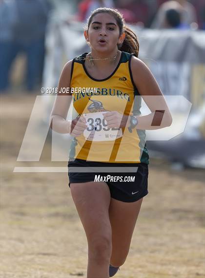 Thumbnail 2 in CIF Central Section Cross Country Championships (Girls D4 Race) photogallery.