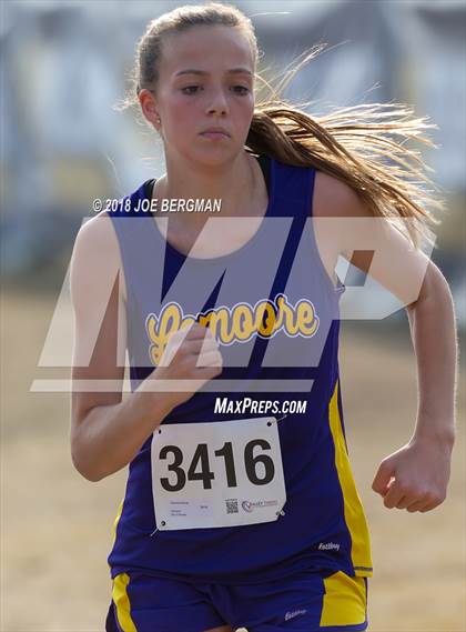 Thumbnail 1 in CIF Central Section Cross Country Championships (Girls D4 Race) photogallery.