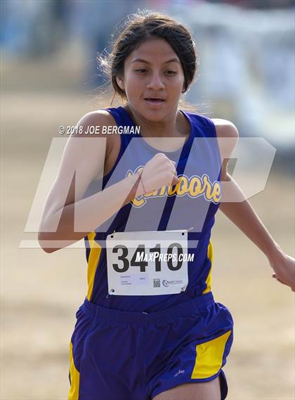 Thumbnail 1 in CIF Central Section Cross Country Championships (Girls D4 Race) photogallery.