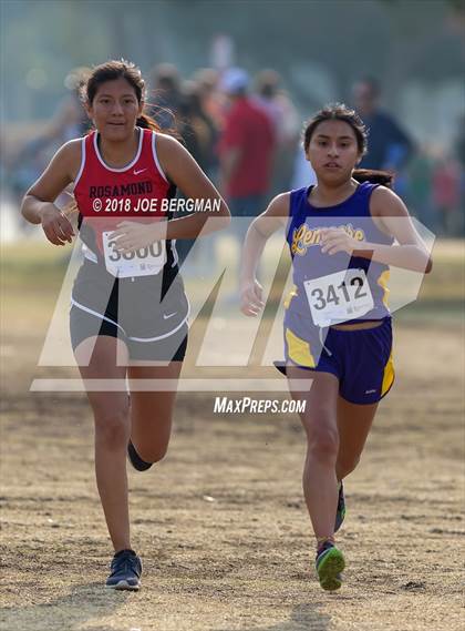 Thumbnail 1 in CIF Central Section Cross Country Championships (Girls D4 Race) photogallery.