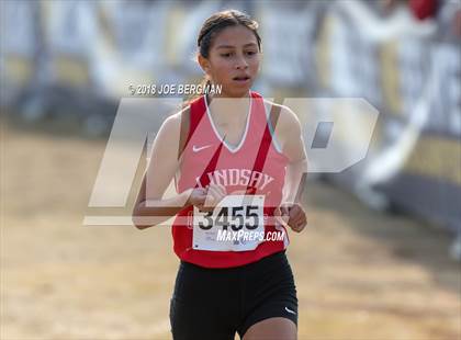 Thumbnail 1 in CIF Central Section Cross Country Championships (Girls D4 Race) photogallery.